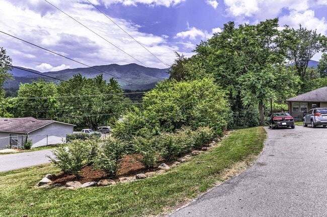 Building Photo - Black Mountain Duplex