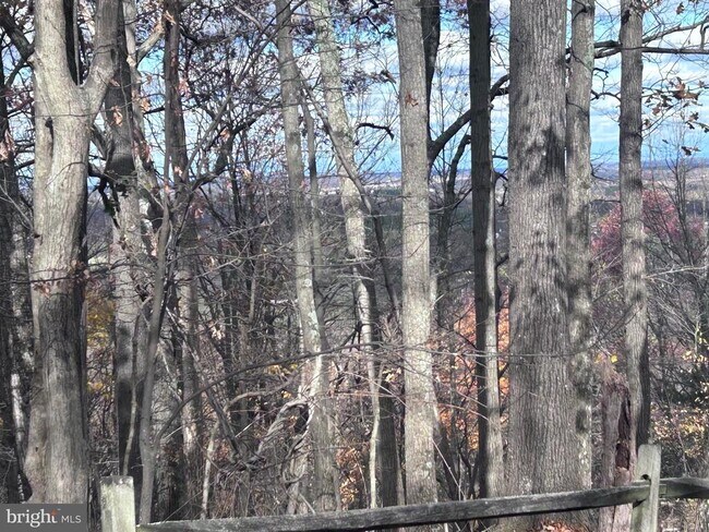 Building Photo - 132 Pinecrest Ln