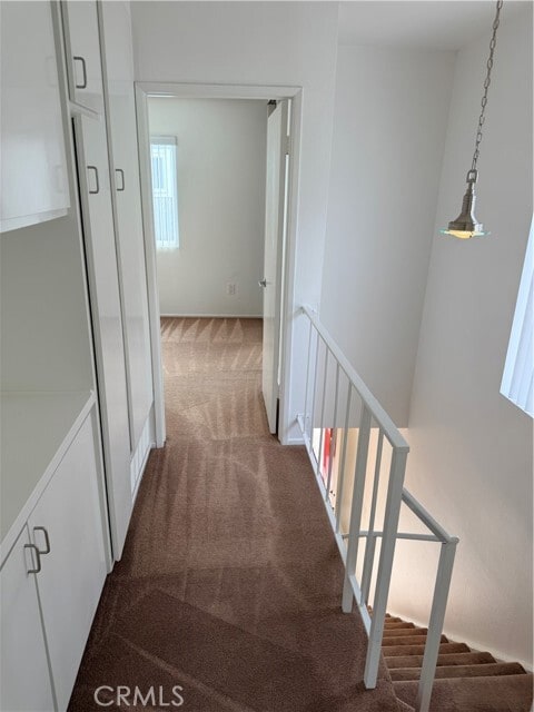 Building Photo - 33936 ALCAZAR Dr