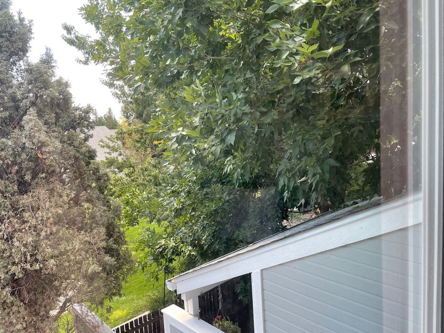 Building Photo - 384 Owl Dr