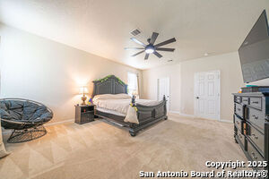 Building Photo - 137 Springtree Shadow