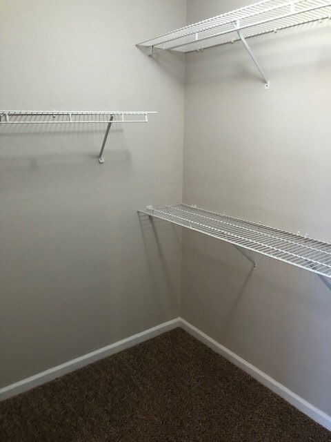 Building Photo - 8151 Charrington Forest Blvd