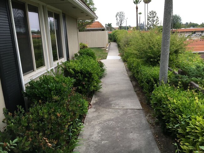 Building Photo - End Unit 3 Bed 2 Bath with a View