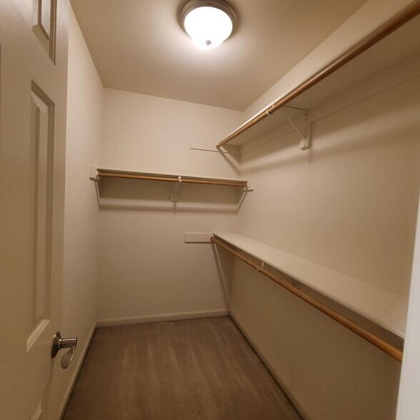 Building Photo - 8563 Mazzello Pl