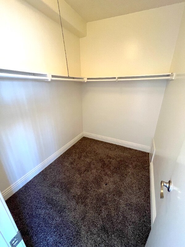 Building Photo - 142 S Princeton Ave