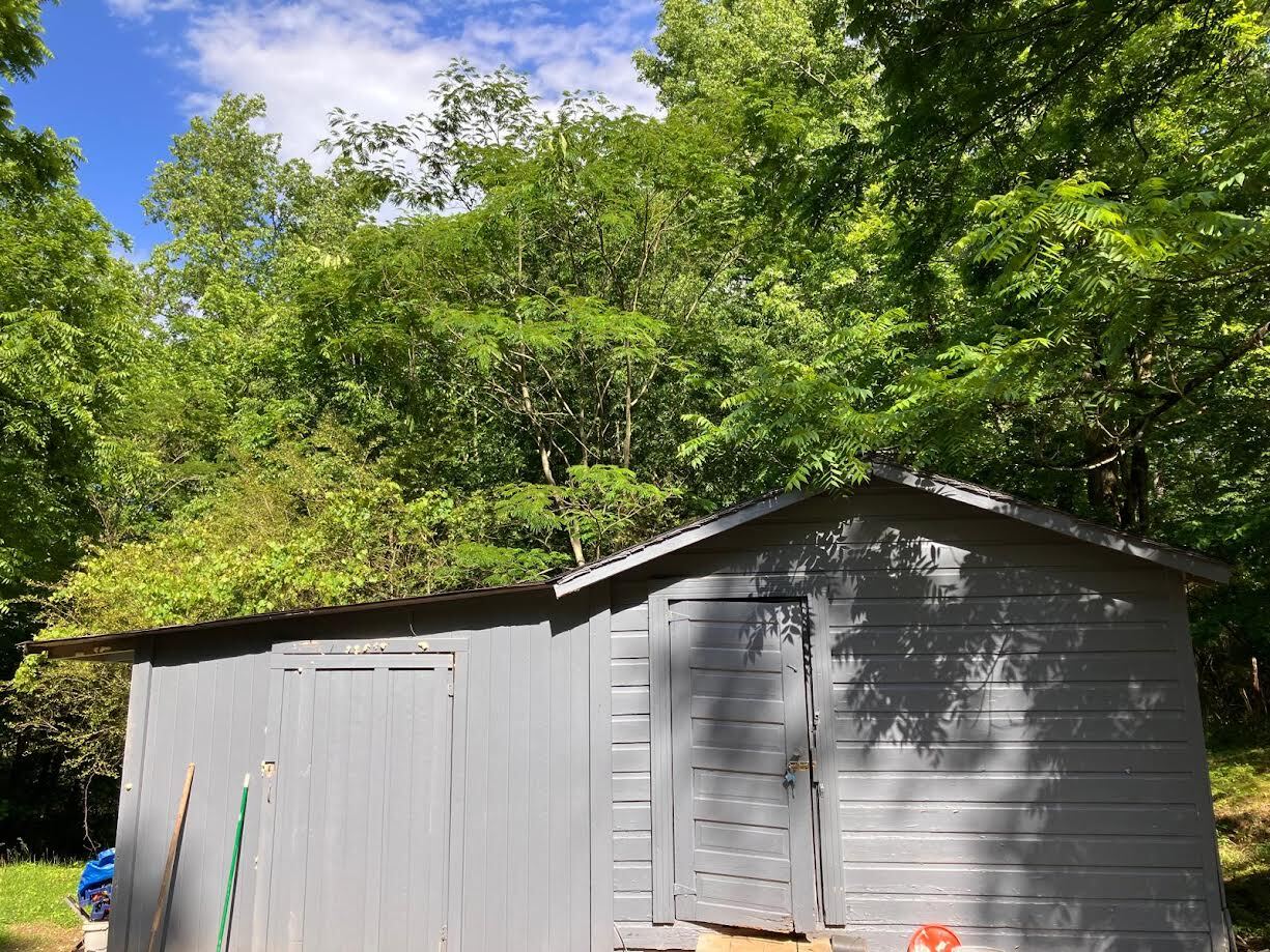 Building Photo - 7480 Little Mill Rd