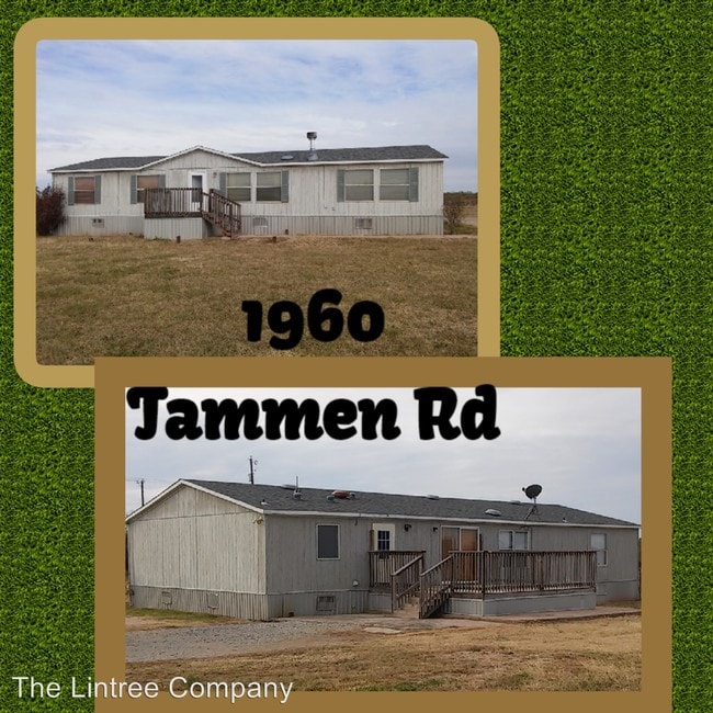 Primary Photo - 1960 Tammen Rd