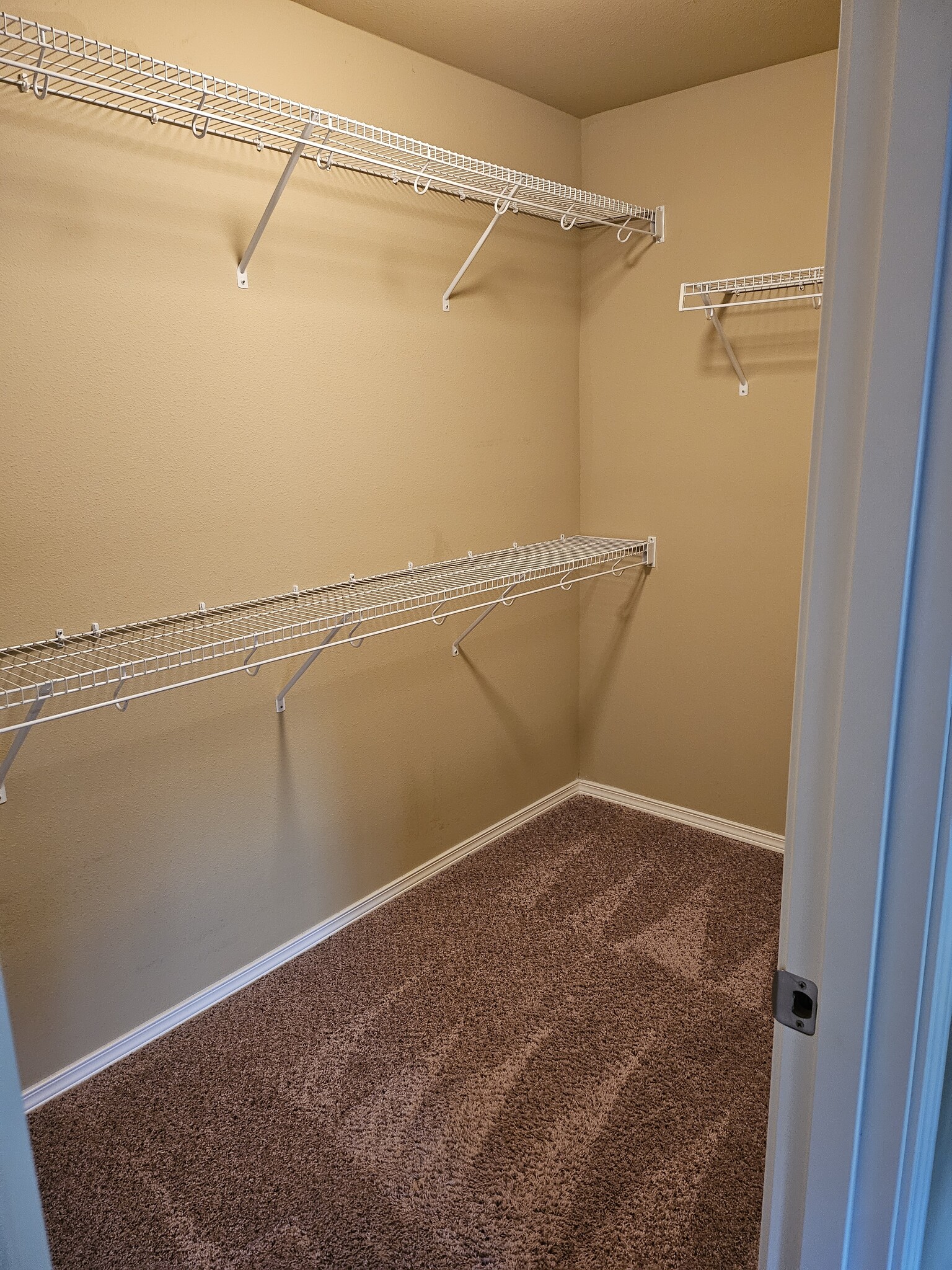 master walk-in - 623 Rivenhurst St