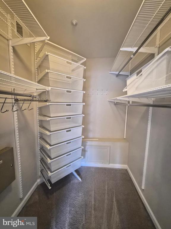 Building Photo - 5916 Founders Hill Dr