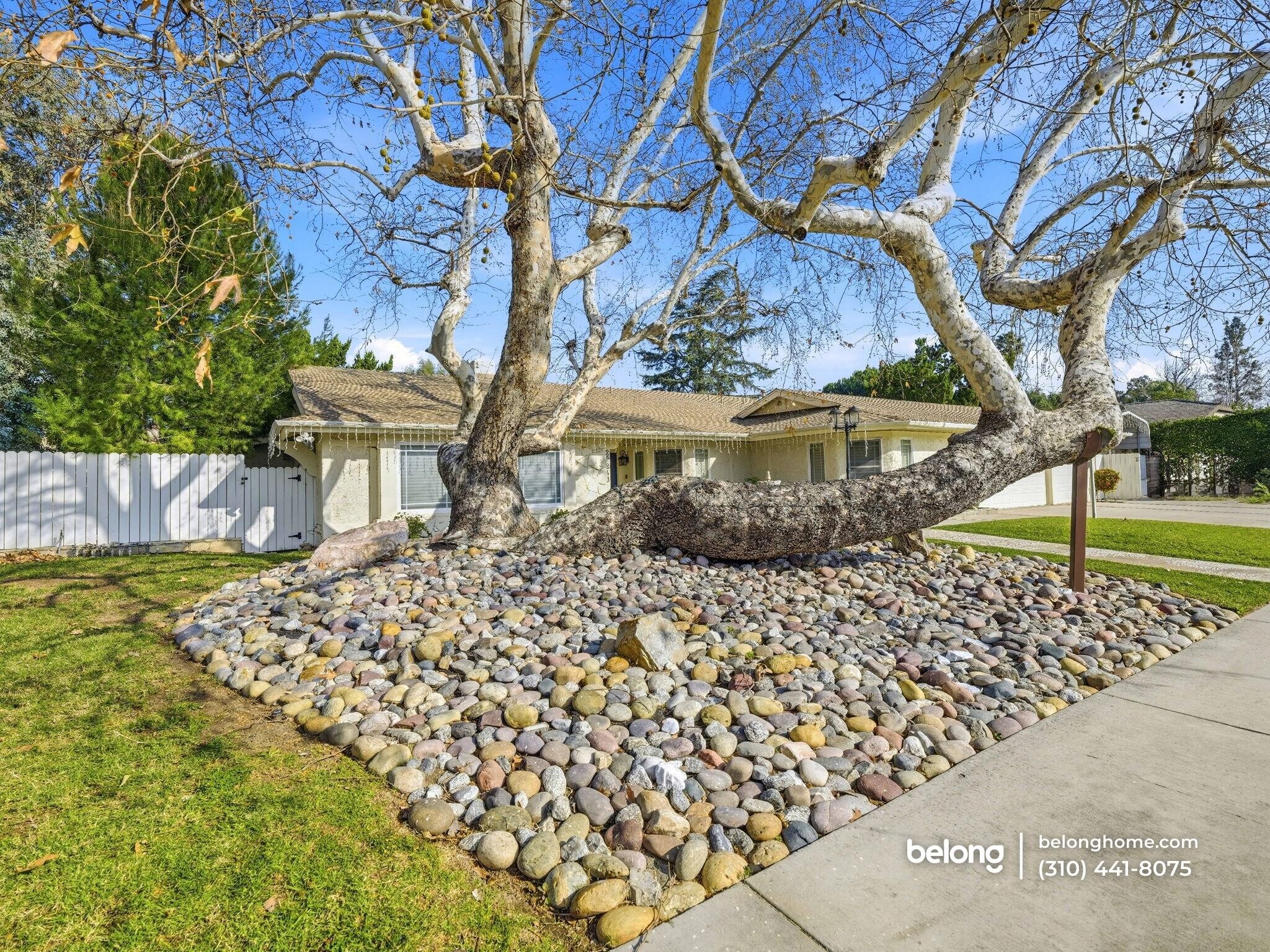 Building Photo - 22243 Craggyview St