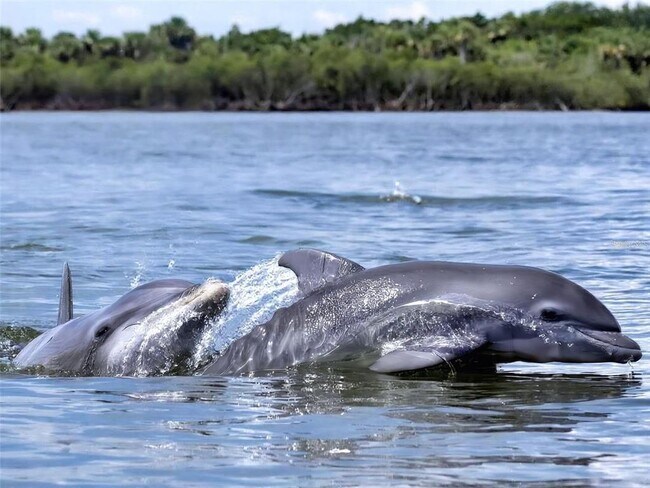 Building Photo - 438 Bouchelle Dr