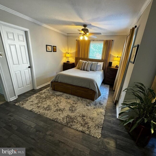 Building Photo - 3917 Captain Molly Cir