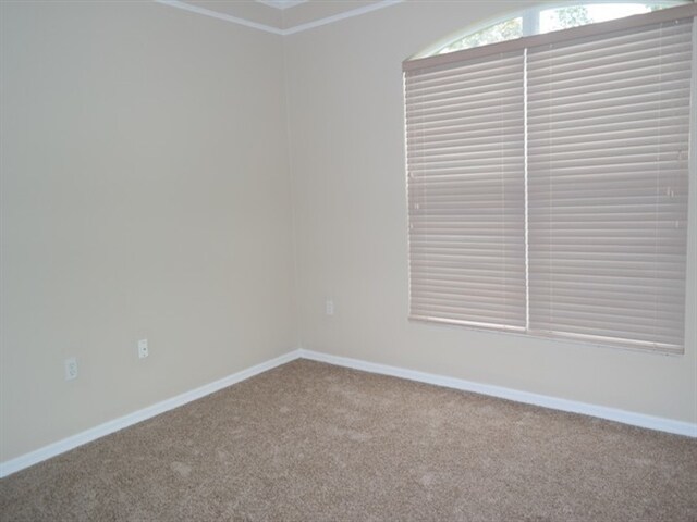 Building Photo - 138 Pine Isle Dr