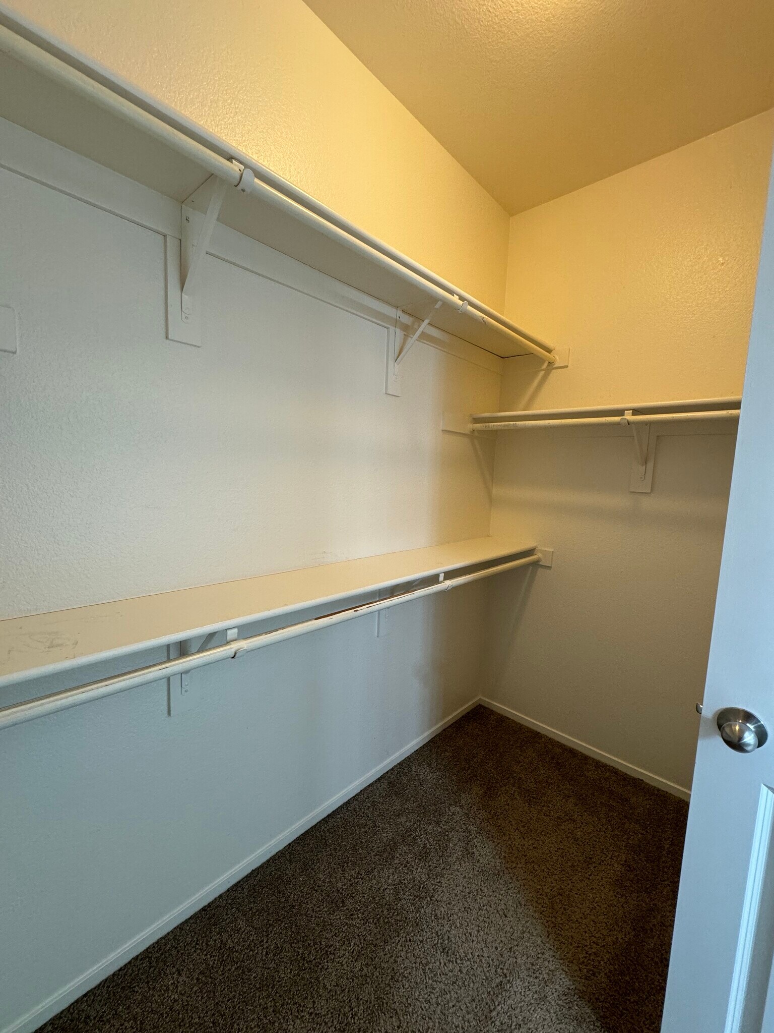 Building Photo - 905 Sapphire Cir