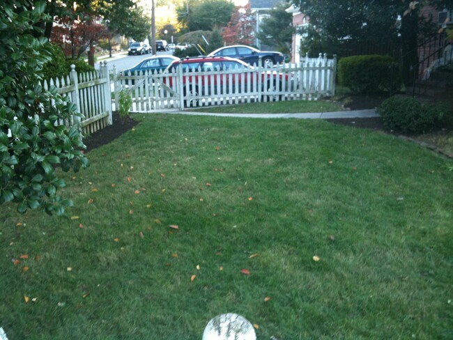 Front Yard - 1048 N Danville St