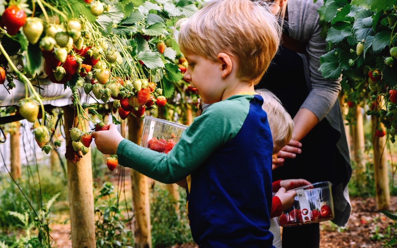 Building Photo - 1456 Tristar Dr