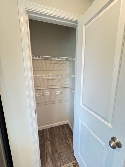 Building Photo - 488 Switchgrass Ct