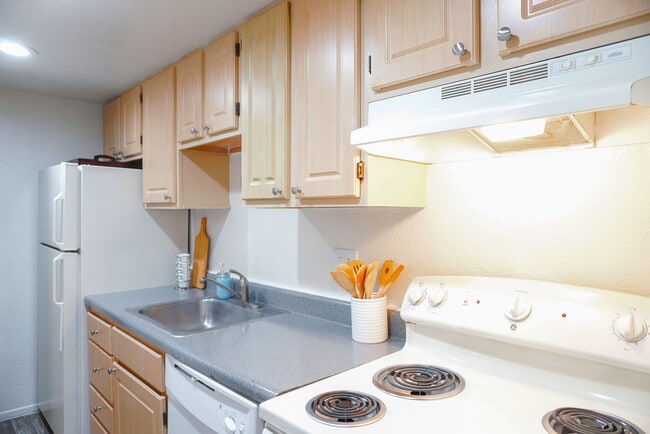 Interior Photo - Coconut Palms