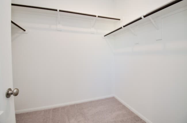 Building Photo - 7919 Royal Palm Dr