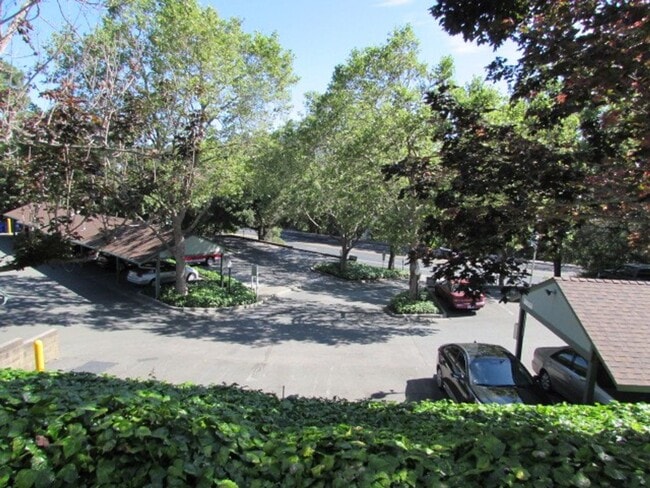 Building Photo - 5290 San Pablo Dam Rd