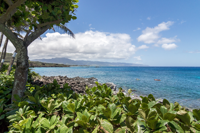 Building Photo - 59-805-805 Kamehameha Hwy