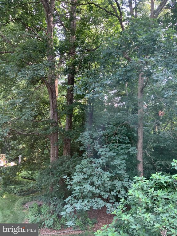 Building Photo - 4618 Briar Patch Ct