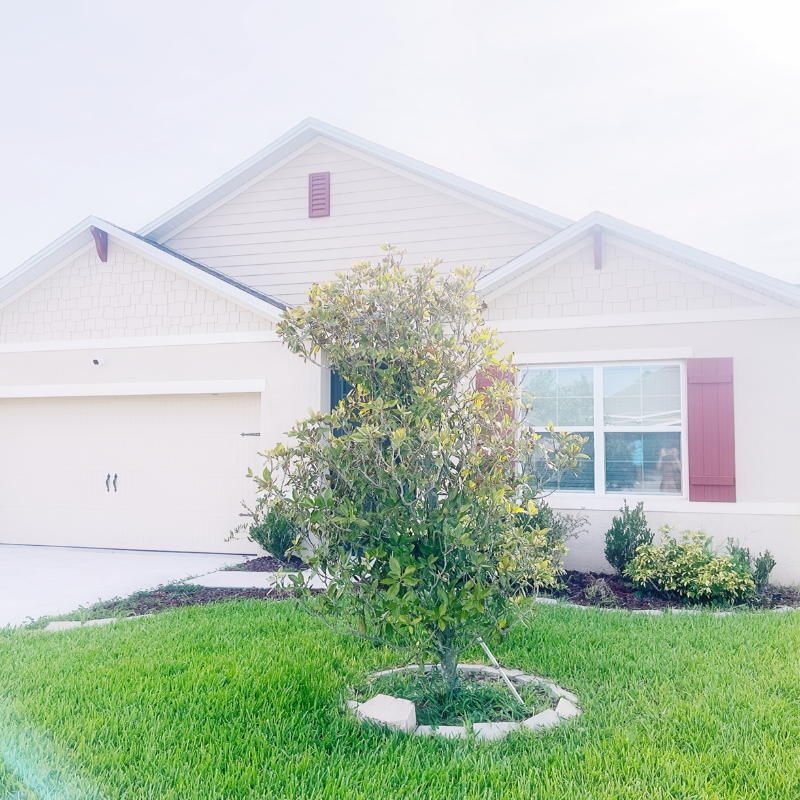 Building Photo - 316 Pitch Pine Dr
