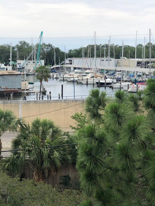 Building Photo - 500 Lake Marina Ave