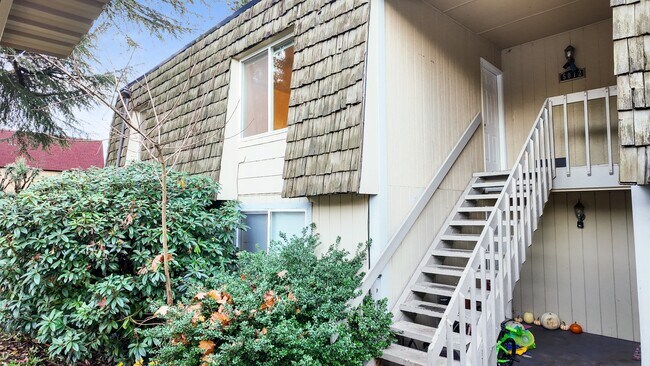 Building Photo - Spacious Apartment in Cozy Tacoma Neighborhood