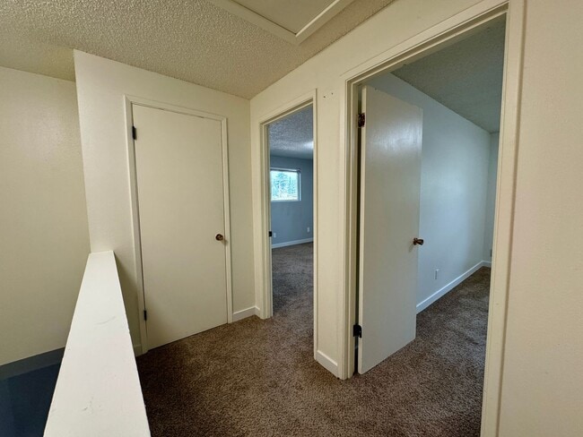 Building Photo - Move-In Ready 2-Bedroom 1 Bathroom Apartme...