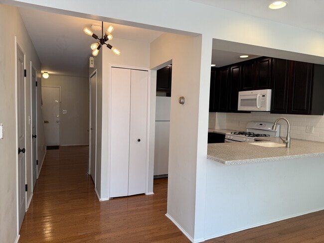 Building Photo - 3208 Bolgos Cir