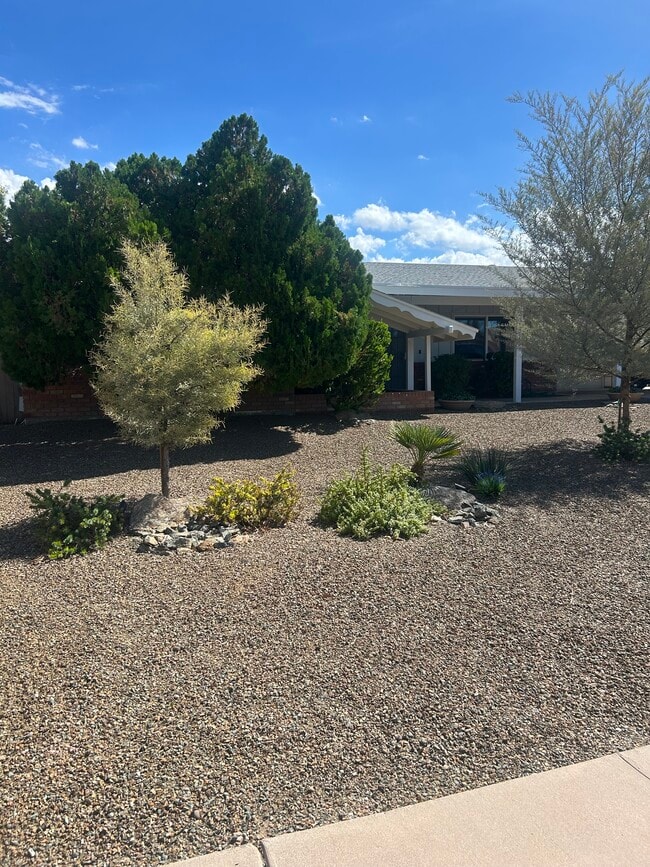 Primary Photo - 1303 N Roca