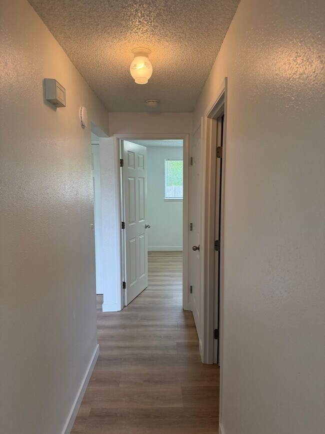 Building Photo - Updated single level 2 bed/1 bath duplex in Thurston!