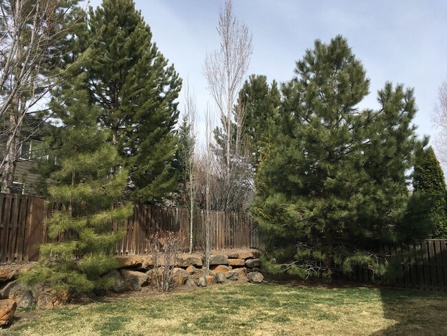 Building Photo - Gorgeous River Canyon Community Home!