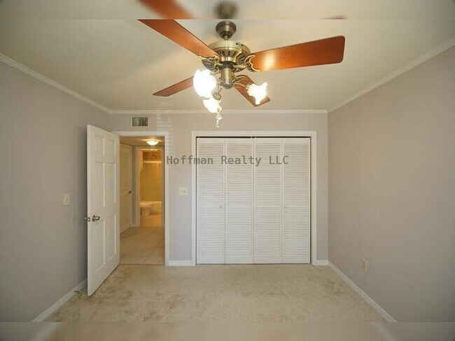 Building Photo - Luxury South Tampa Condo on Bayshore Blvd