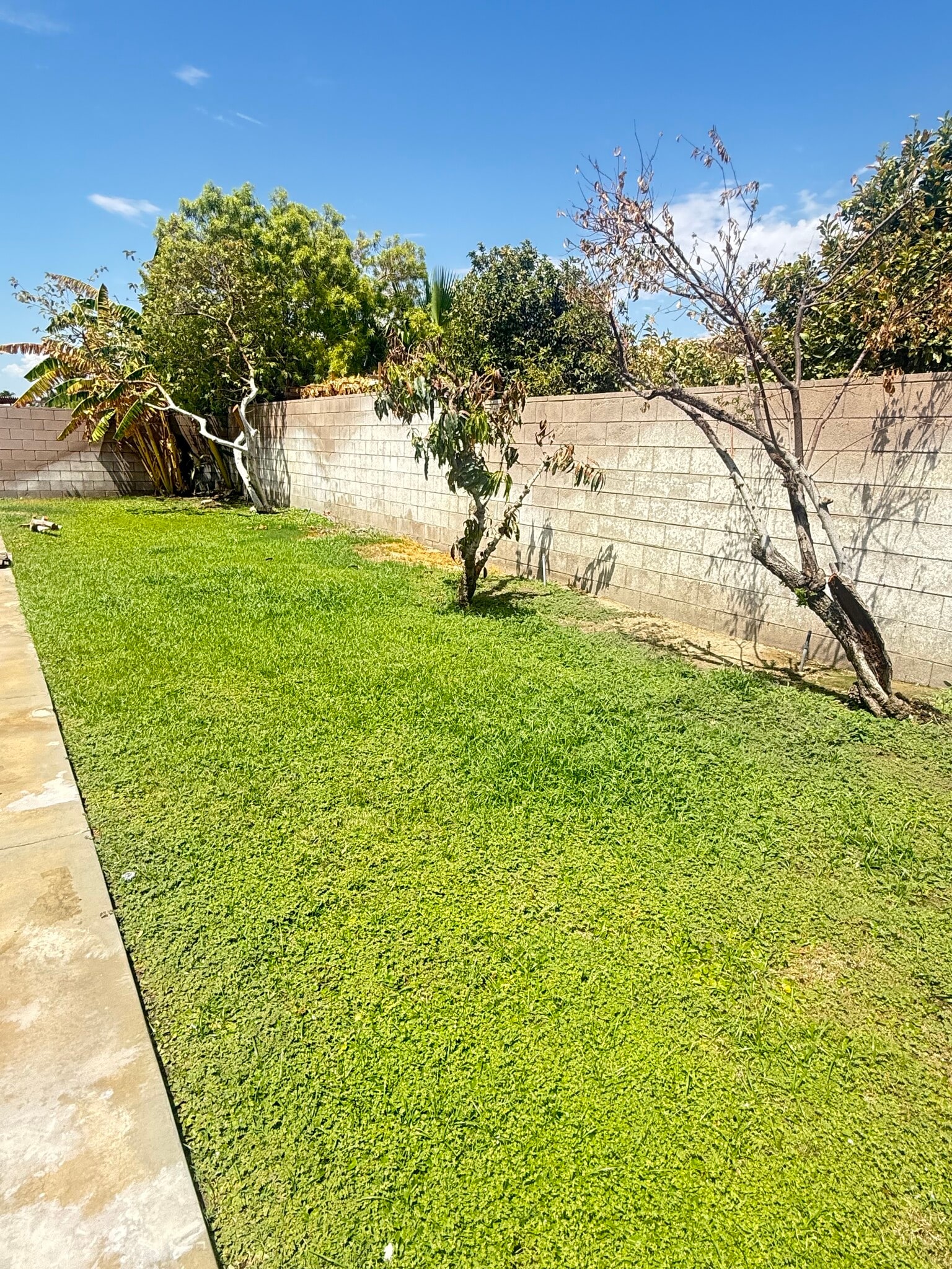 Building Photo - 78830 Wakefield Cir