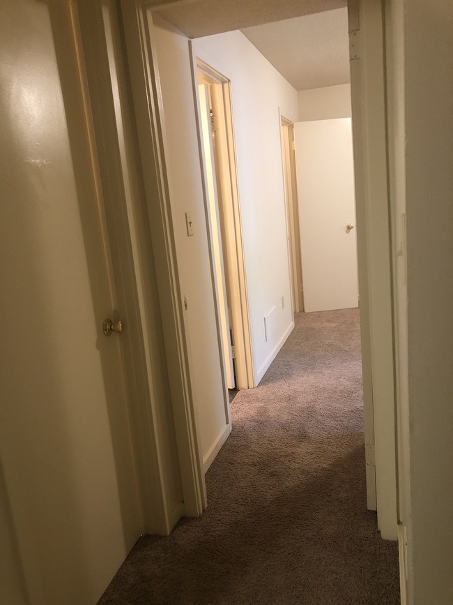 Hall going to bedroom and bathroom - The Bluffs Apartment Homes