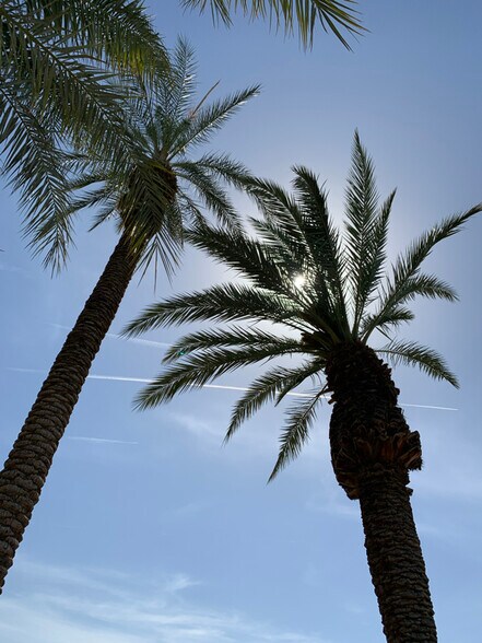 Building Photo - 84136 Olona Ct