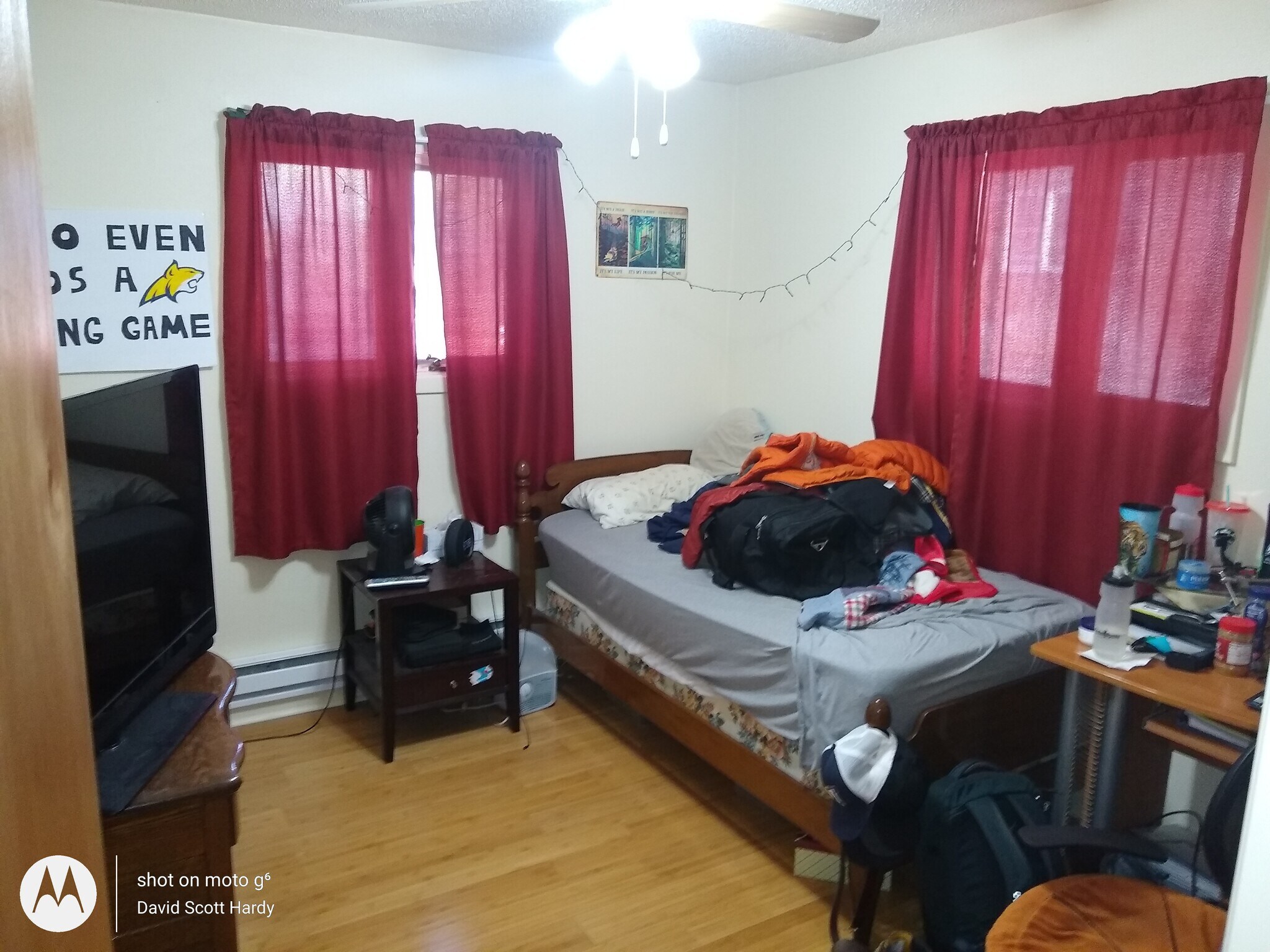 Building Photo - 921 Elizabeth St