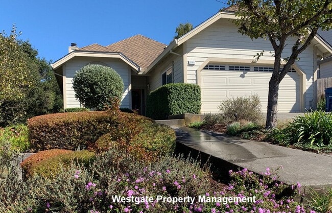 Building Photo - 1160 Birch Dr