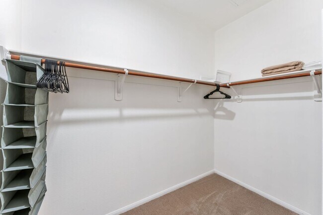 Building Photo - 904 Duckhorn Ct