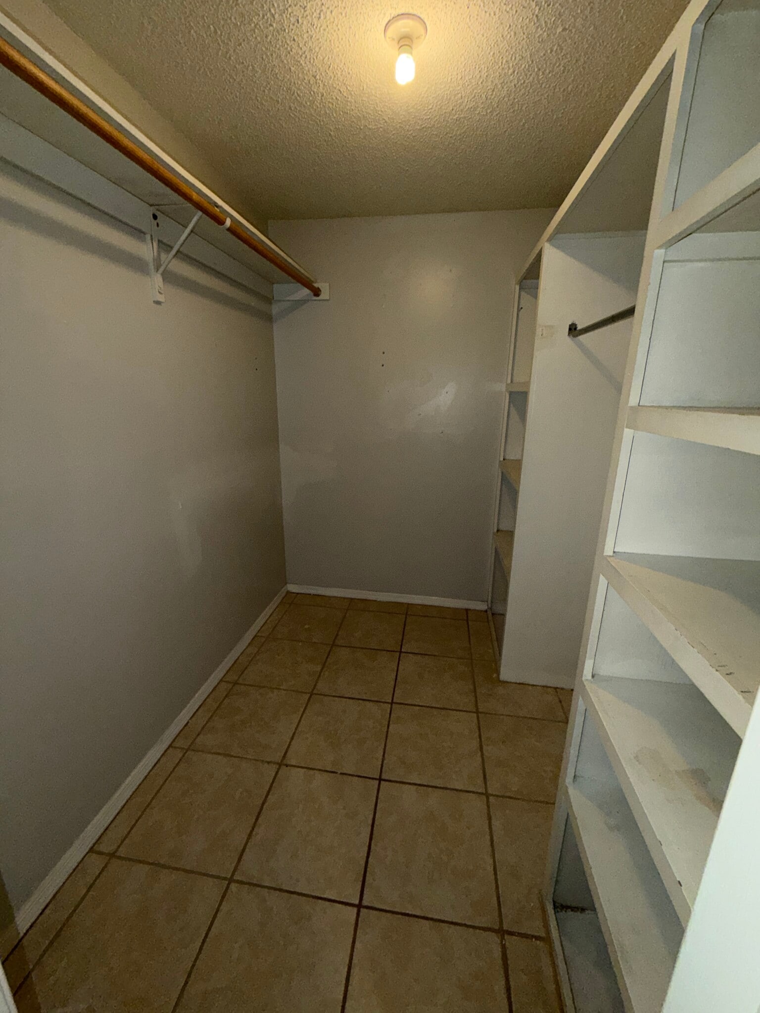 Building Photo - 8418 Bottlebrush Ct