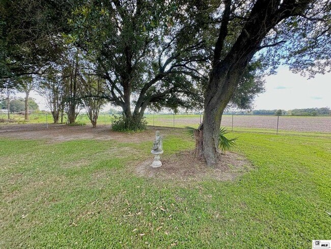 Building Photo - 1448 French Turn Rd