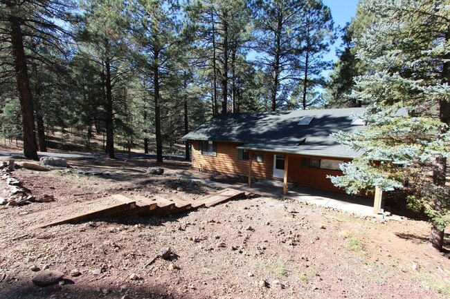 Building Photo - 3 Bed, 2 Bath Cabin Home with Fenced Backy...