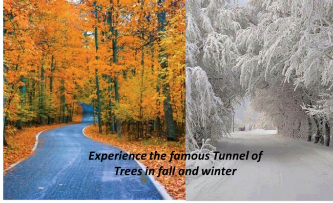 Building Photo - 293 Sumac Ln