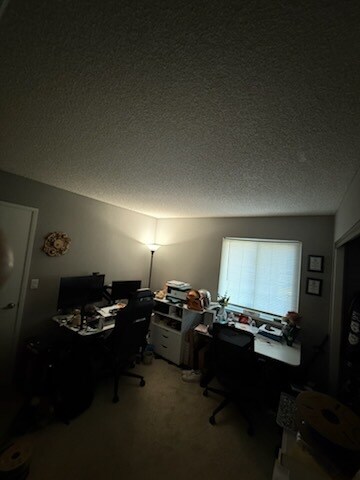 Building Photo - 59 Suntrail Cir