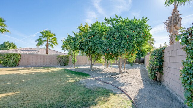 Building Photo - 79925 Corte Calero