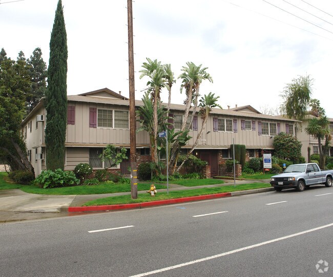 Primary Photo - Chandler Palms