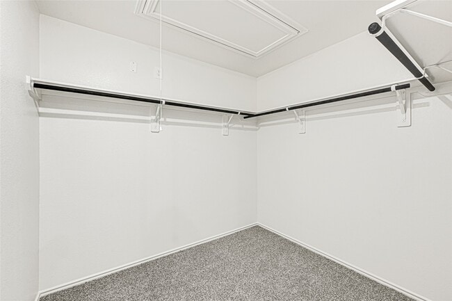 Building Photo - 3715 Axyl Run Ct