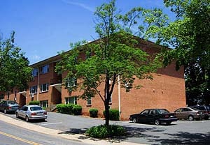 Primary Photo - Shamrock Gardens